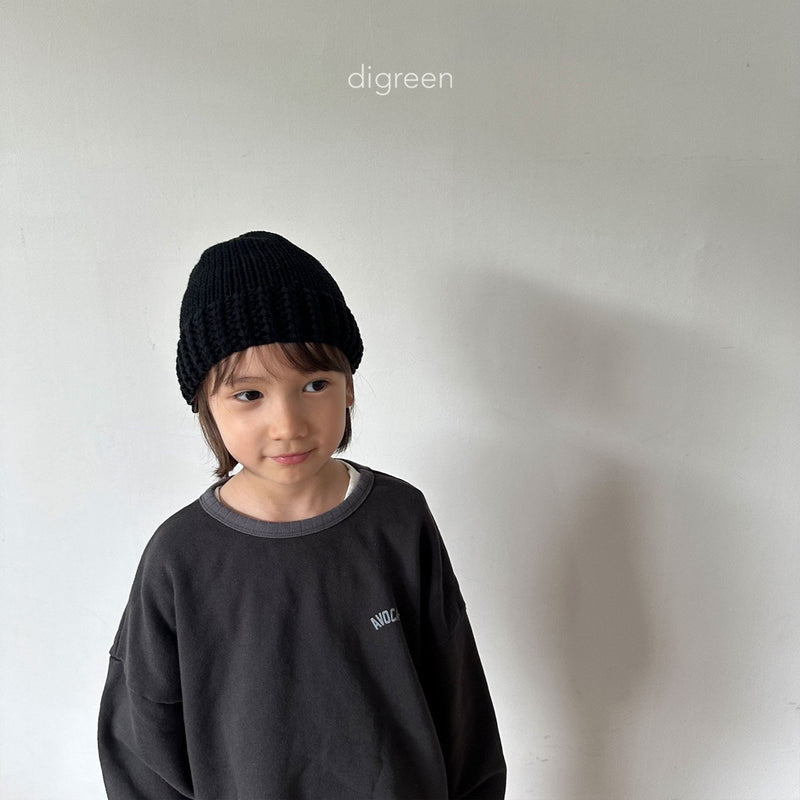 digreen / dotory beanie