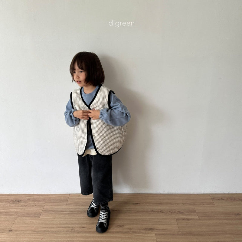 digreen / reversible vest