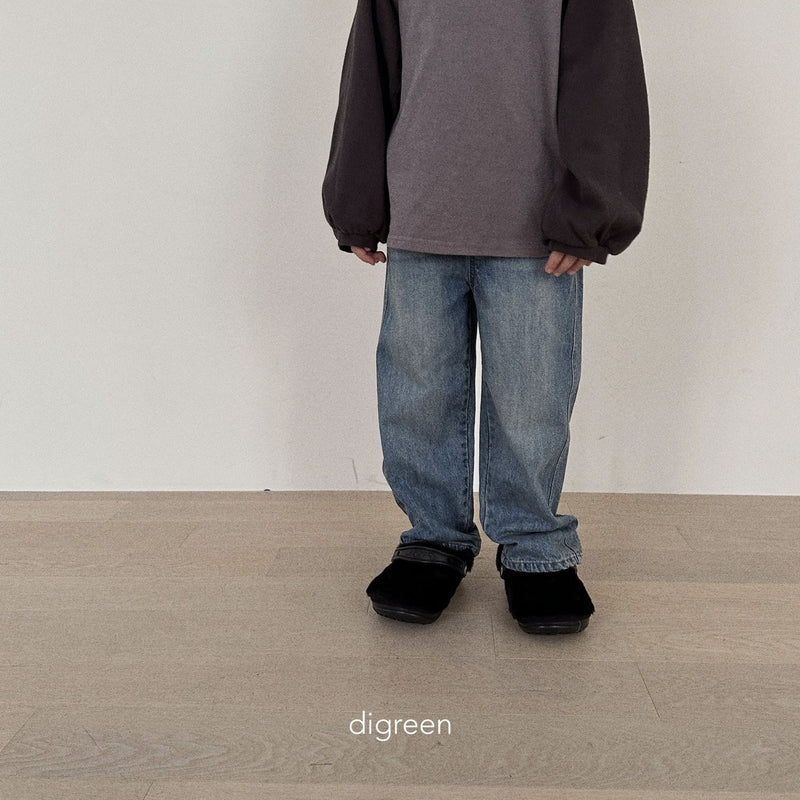 digreen / division denim pants