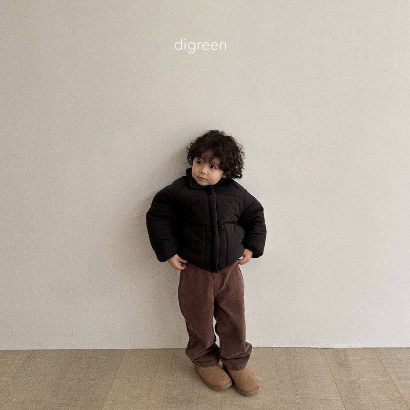 digreen / warm pitch pants