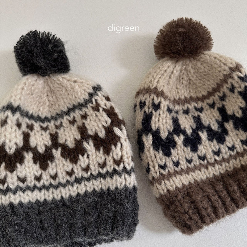 digreen / cowichan knit beanie