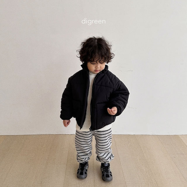 digreen / warm stripe pants