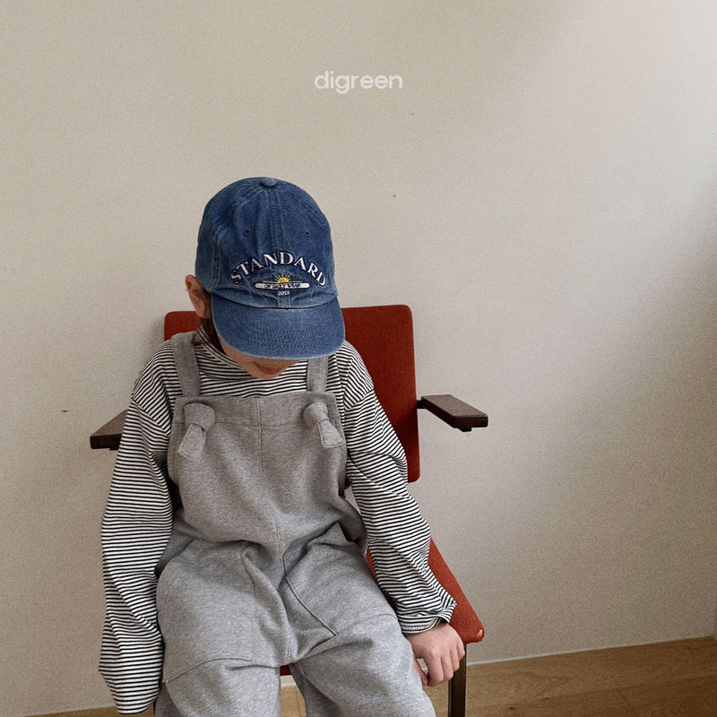 digreen / standard denim cap