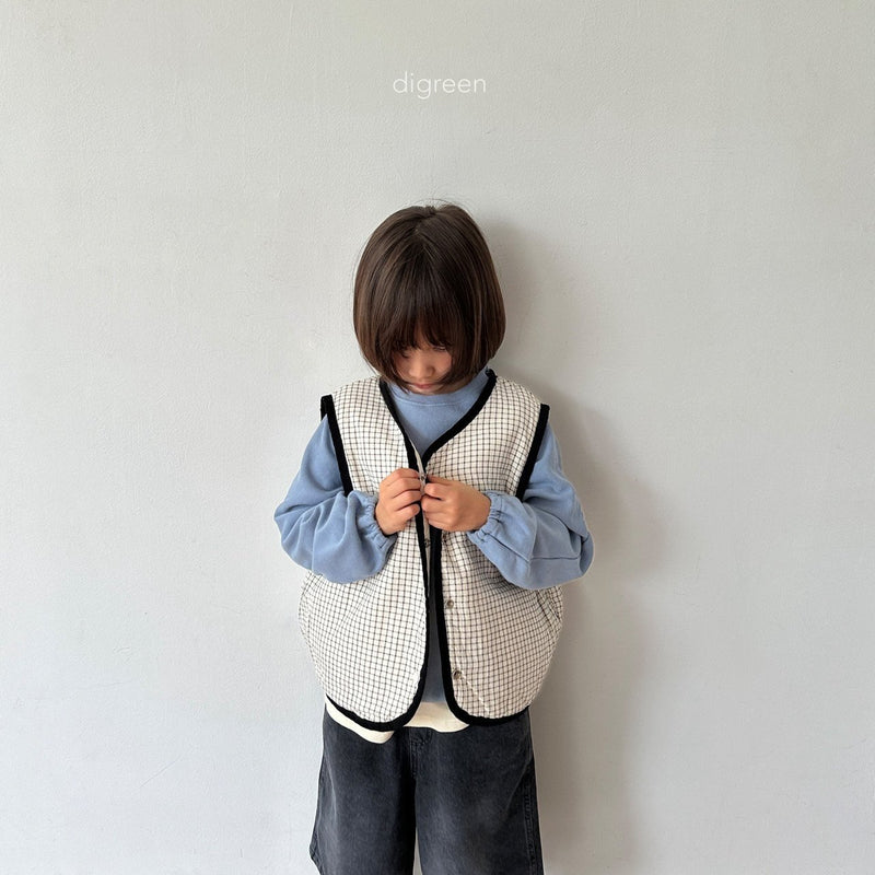 digreen / reversible vest