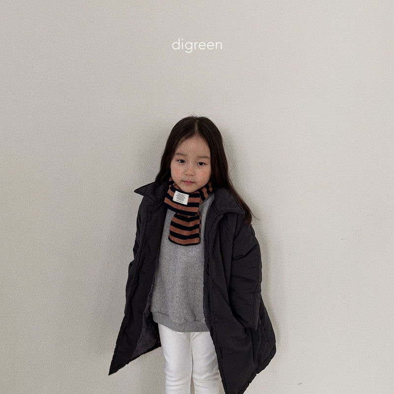 digreen / padded coat