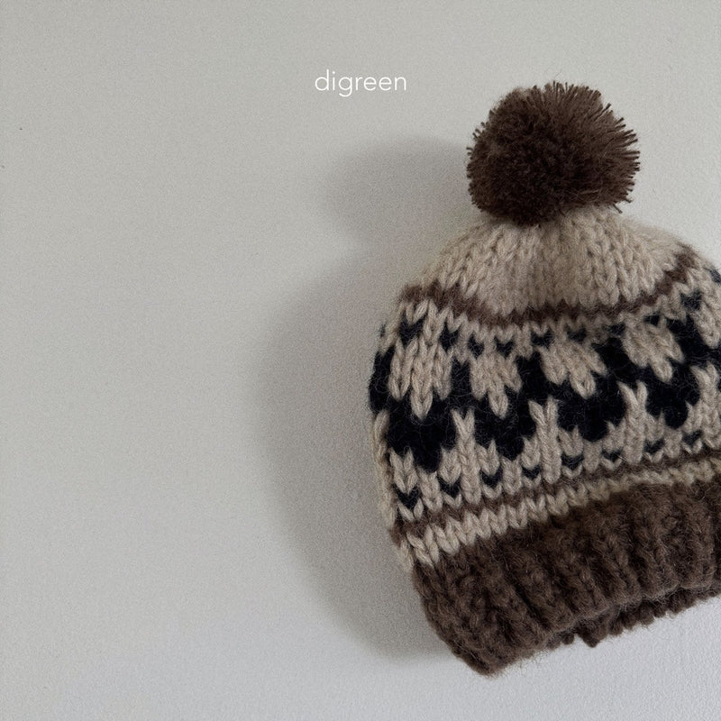 digreen / cowichan knit beanie