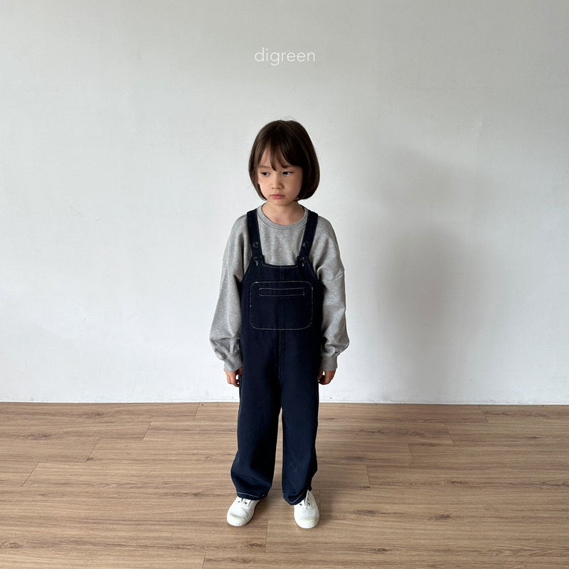 digreen / pocket overall