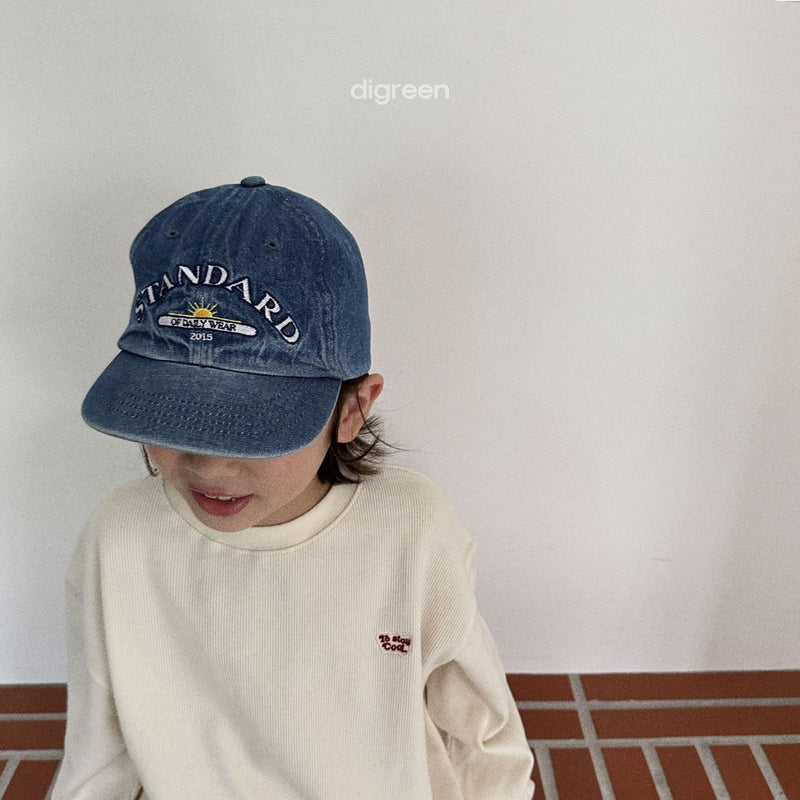 digreen / standard denim cap