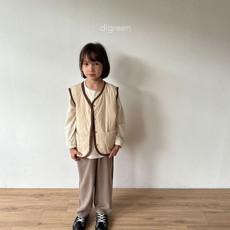 digreen / reversible vest