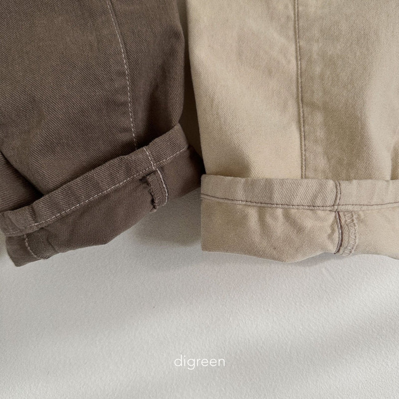 digreen / rivet pants