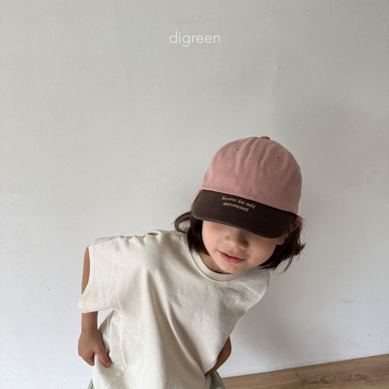 digreen / color block cap