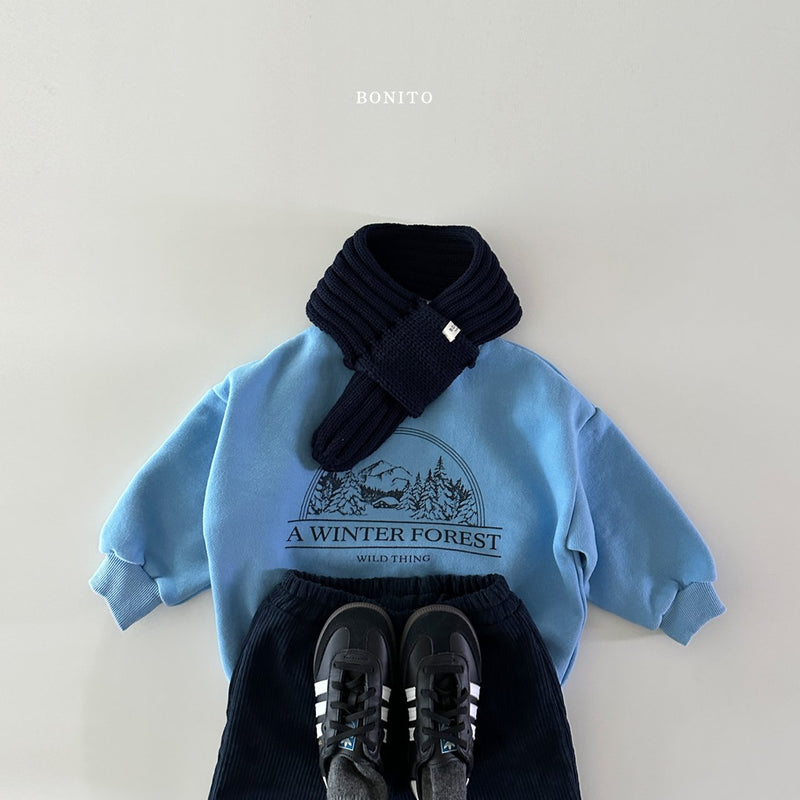 bonito / winter forest mtm
