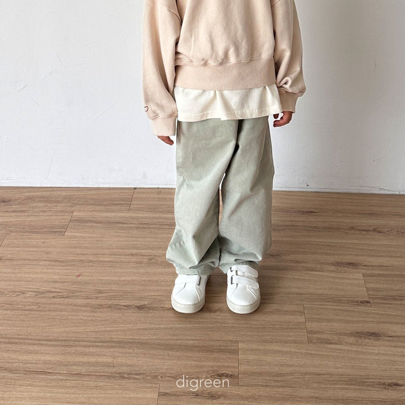 digreen / dyeing pants