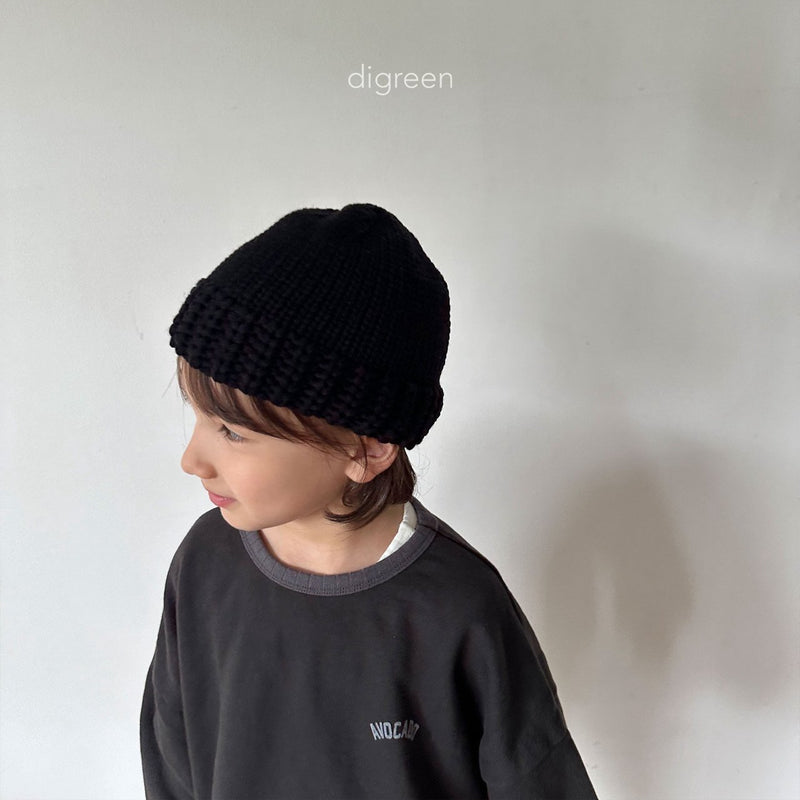 digreen / dotory beanie