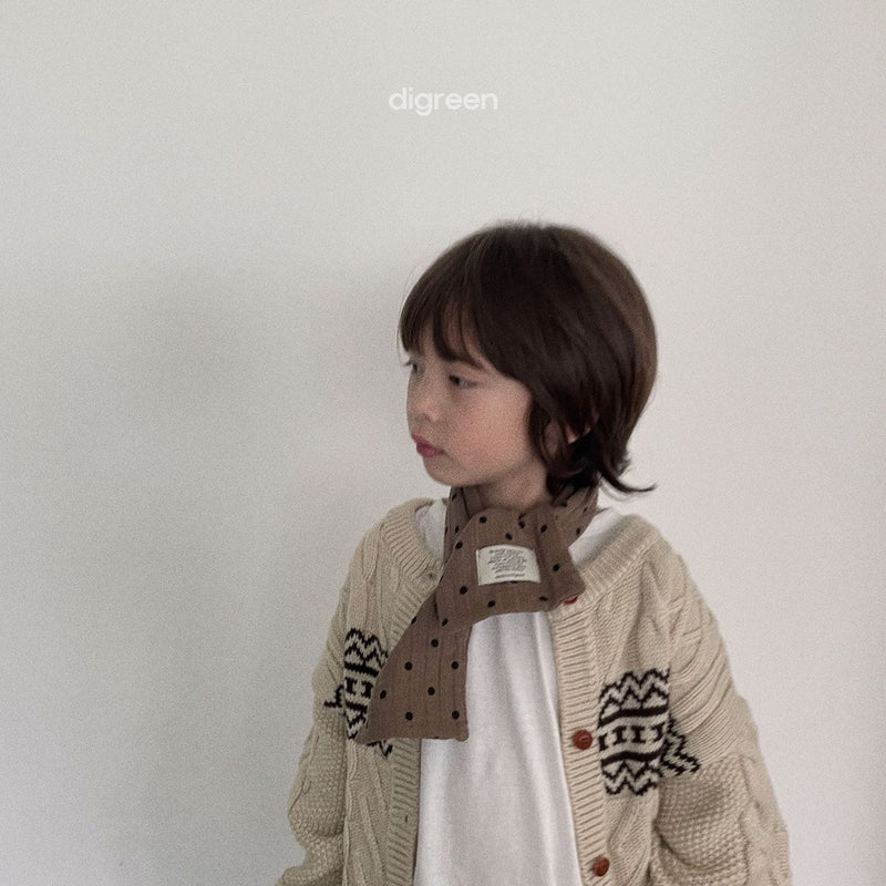 digreen / autumn scarf
