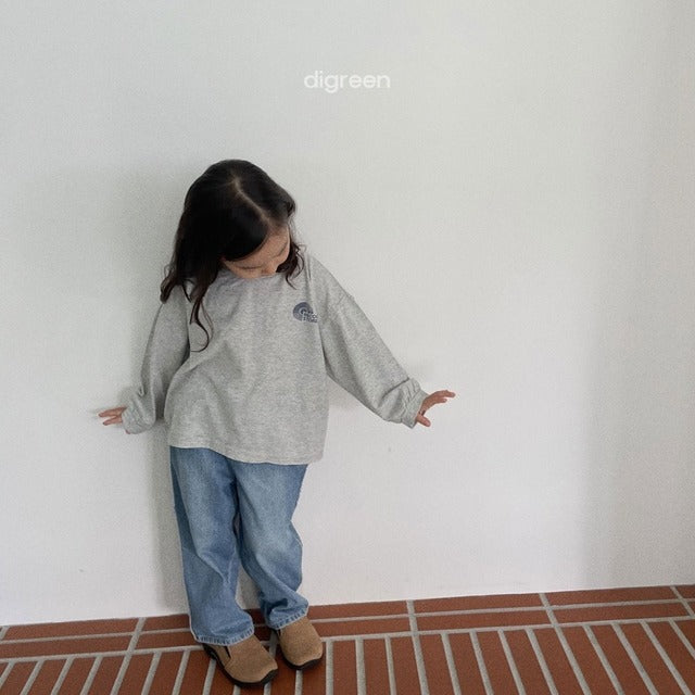 digreen / record t