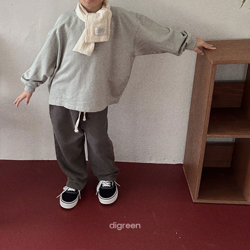 digreen / maru dyeing  pants